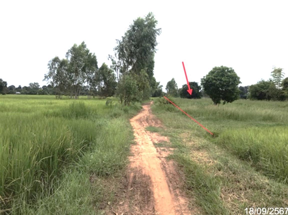 picture LAND for sale  Yo Kham Khuan Kaeo Yasothon - 11/20