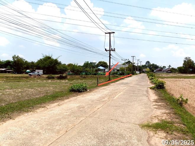 picture LAND for sale  Nua Muang Muang Roi Et Roi Et - 5/20