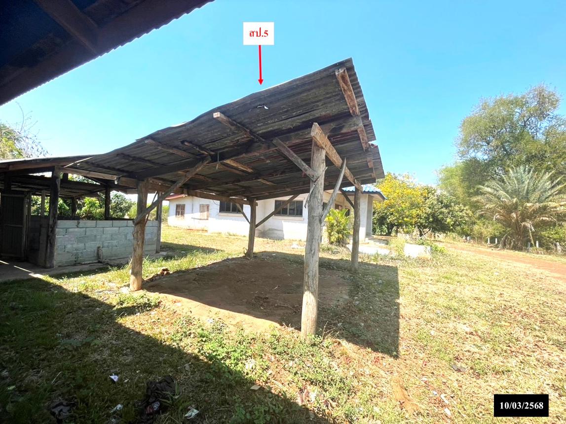 รูป บ้านเดี่ยว สำหรับขาย - ปทุมวาปี ส่องดาว สกลนคร - รูปที่ 32/44