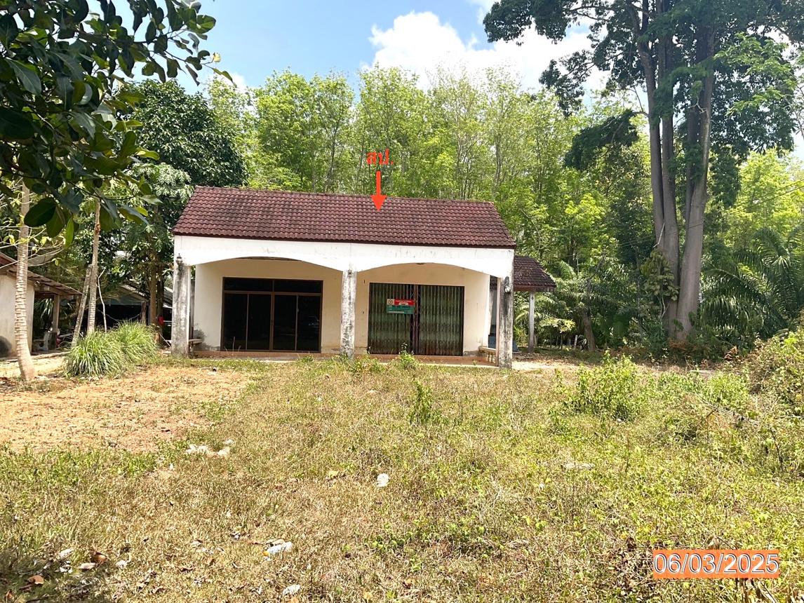 รูป บ้านเดี่ยว สำหรับขาย - บ้านนา ปะเหลียน ตรัง - รูปที่ 10/20