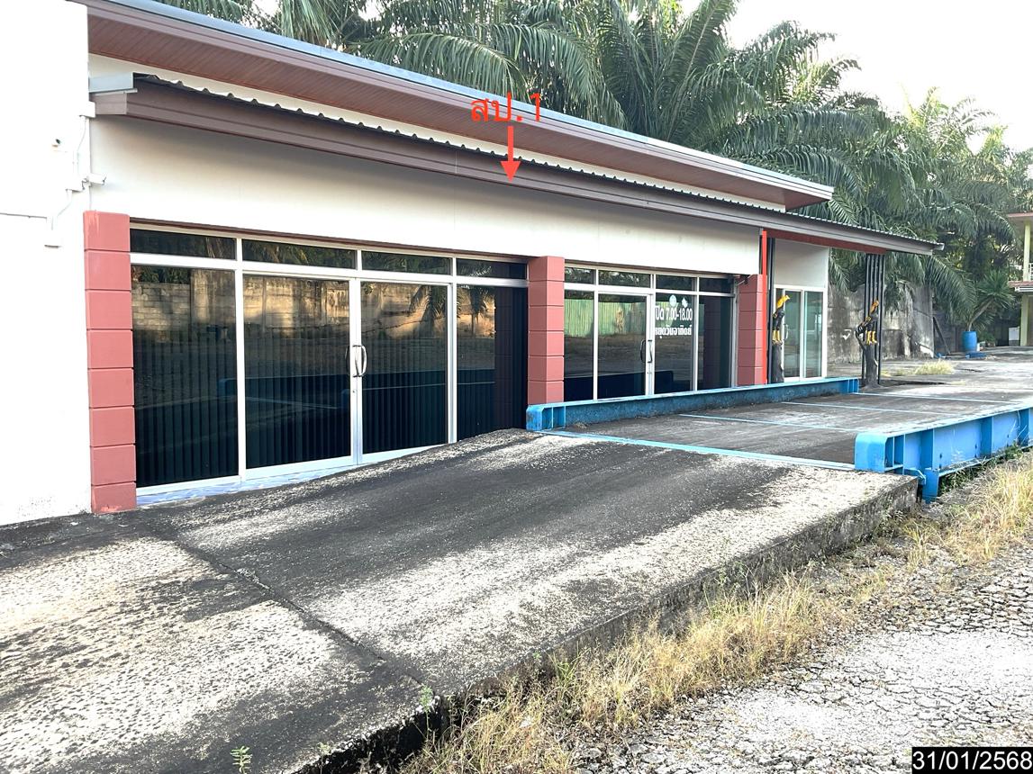 รูป บ้านเดี่ยว สำหรับขาย - วังมะปรางเหนือ วังวิเศษ ตรัง - รูปที่ 13/24