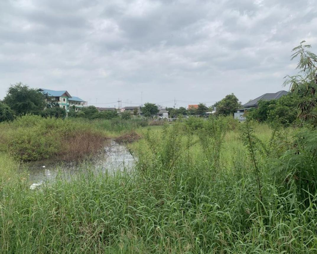 รูป ที่ดินว่างเปล่า สำหรับขาย  รั้วใหญ่ เมืองสุพรรณบุรี สุพรรณบุรี - รูปที่ 5/12