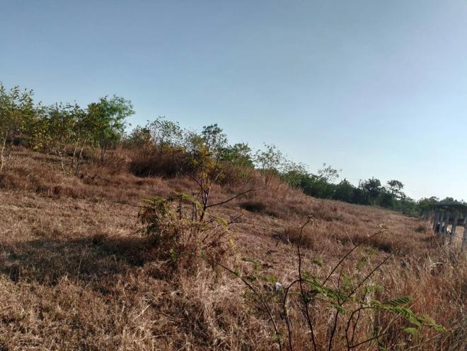 picture LAND for sale  Nong Phu Chaturaphak Phiman Roi Et - 5/18