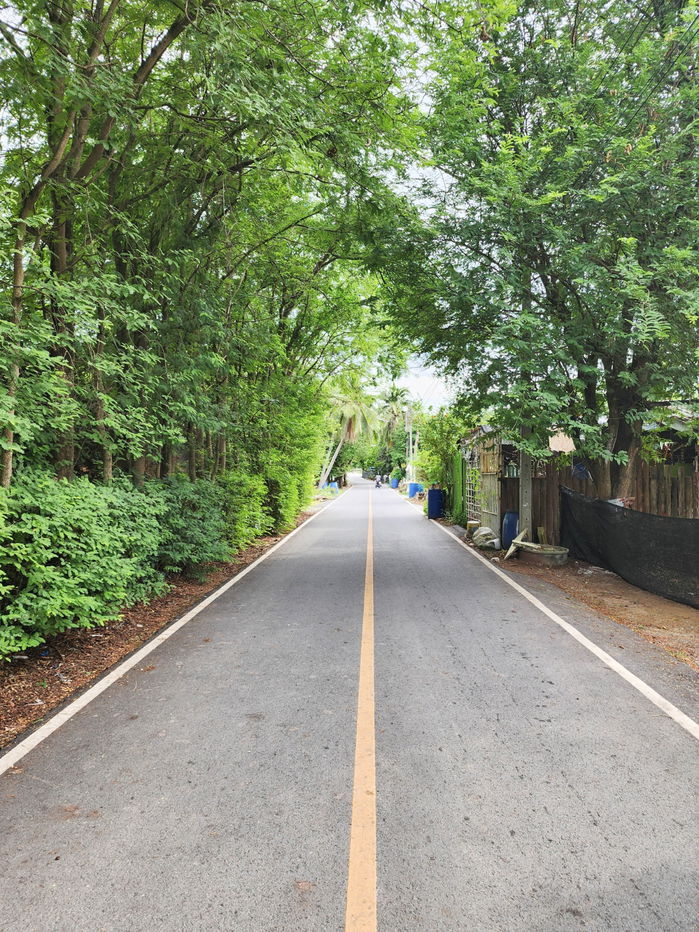 รูป ขายด่วน! ที่ดินพร้อมสวนมะพร้าวบ้านแพ้วกว่า 8 ไร่! ราคาดี ในหนองนกไข่ กระทุ่มแบน สมุทรสาคร ผังเมืองเขียวลาย หน้ากว้าง 80 เมตร ลึก 160 เมตร  - รูปที่ 15/17
