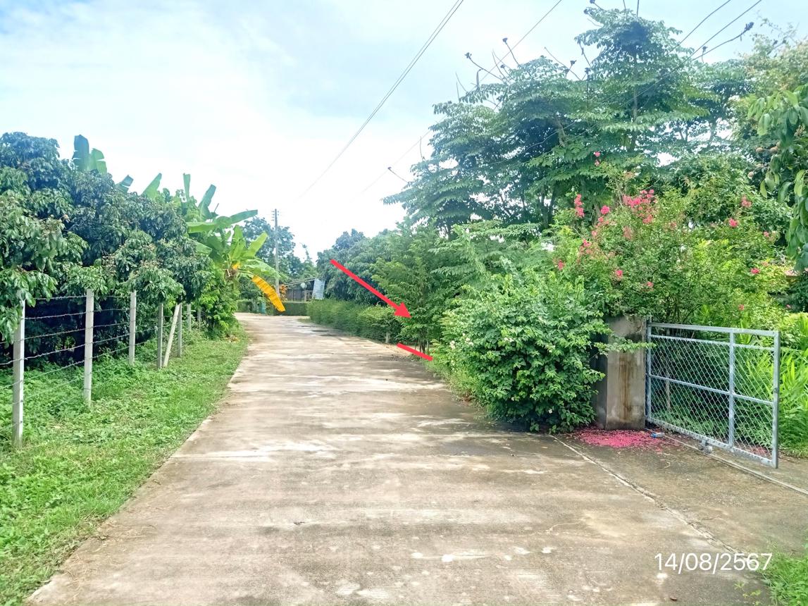 picture HOME for sale  San Sai Phrao Chiang Mai - 14/18
