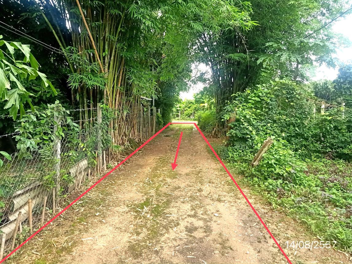 picture HOME for sale  San Sai Phrao Chiang Mai - 12/18