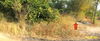 listing thumbnail image 18