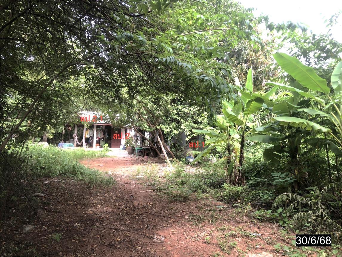 รูป บ้านเดี่ยว สำหรับขาย - หนองสังข์ แก้งคร้อ ชัยภูมิ - รูปที่ 9/20