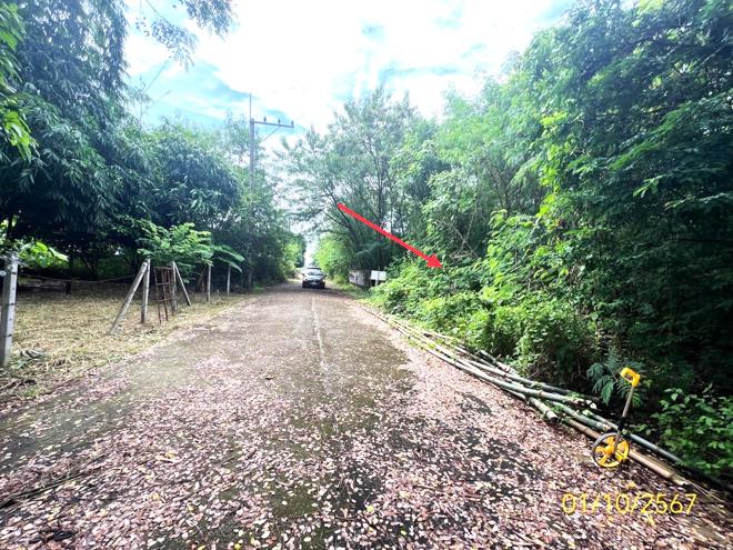 รูป ที่ดินว่างเปล่า สำหรับขาย - รังสิต ธัญบุรี ปทุมธานี - รูปที่ 5/18