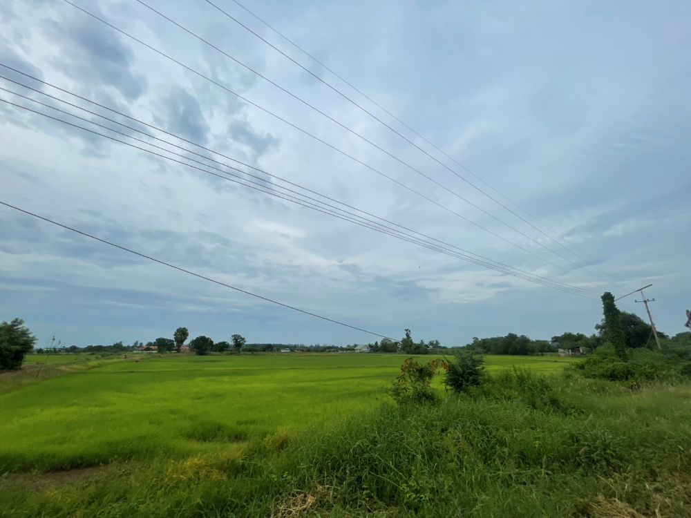 รูป ขายที่ดินเปล่า ขนาด 24 ไร่ ทำเลทอง บรรยากาศร่มรื่น ใกล้แหล่งชุมชน ต.หัวสำโรง ฉะเชิงเทรา - รูปที่ 9/15