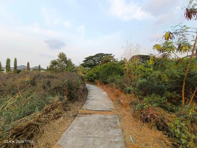 รูป บ้านเดี่ยว สำหรับขาย - ไทรม้า เมืองนนทบุรี นนทบุรี - รูปที่ 9/42
