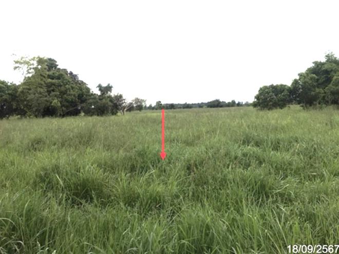 picture LAND for sale  Yo Kham Khuan Kaeo Yasothon - 6/20