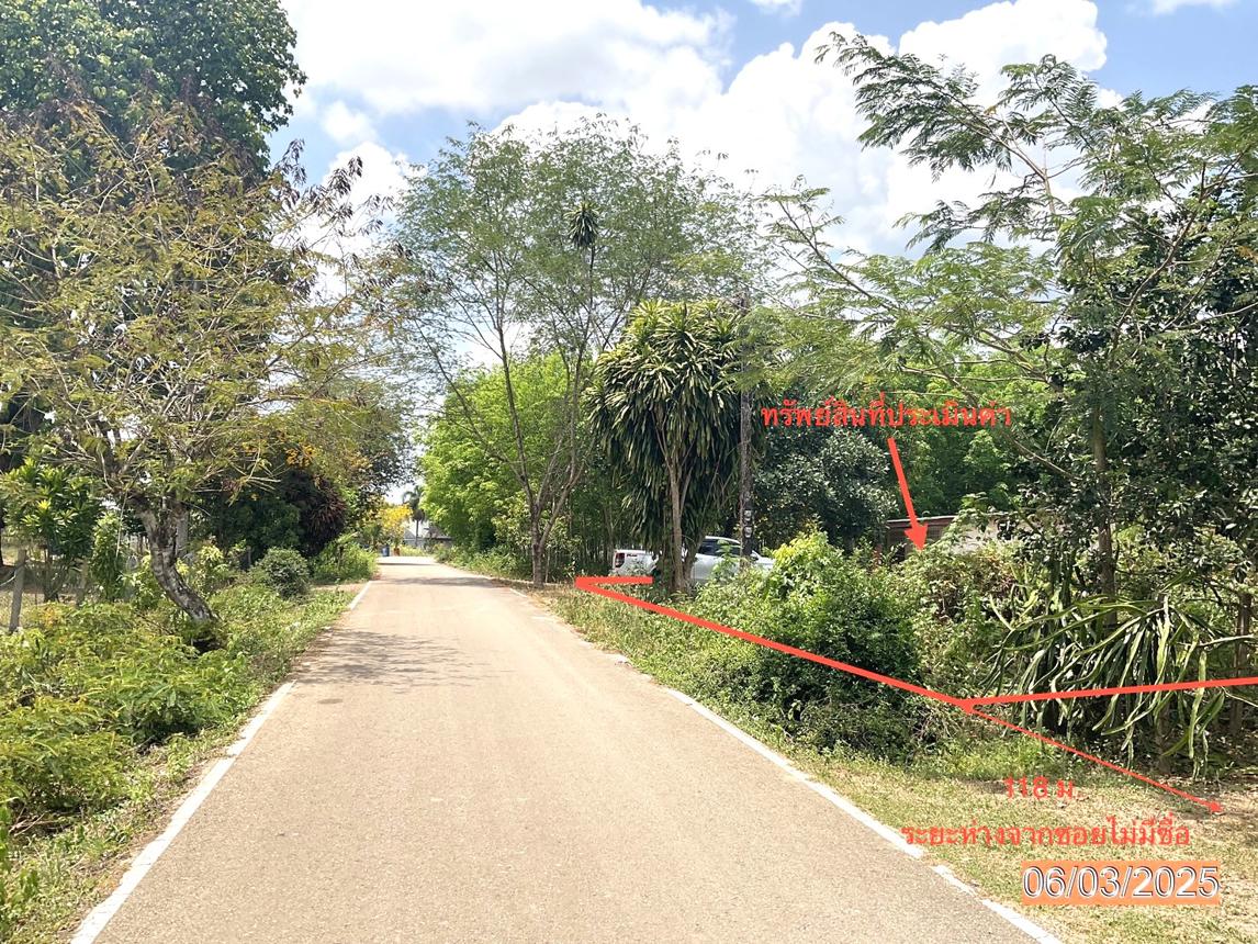 รูป บ้านเดี่ยว สำหรับขาย - บ้านนา ปะเหลียน ตรัง - รูปที่ 16/20