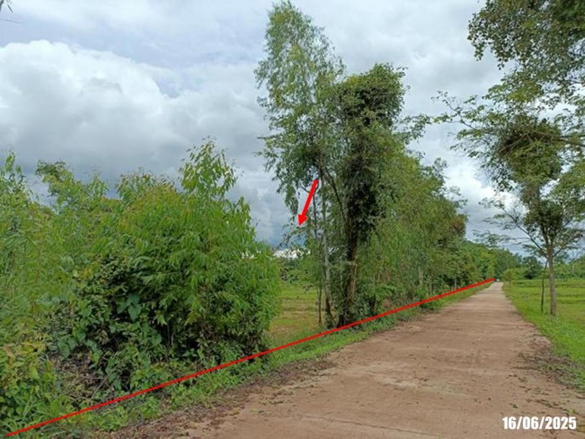 รูป ที่ดินว่างเปล่า สำหรับขาย - เมืองเพีย กุดจับ อุดรธานี - รูปที่ 13/20