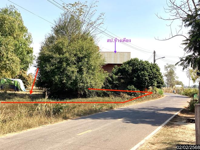 picture LAND for sale  Song Dao Song Dao Sakon Nakhon - 4/18