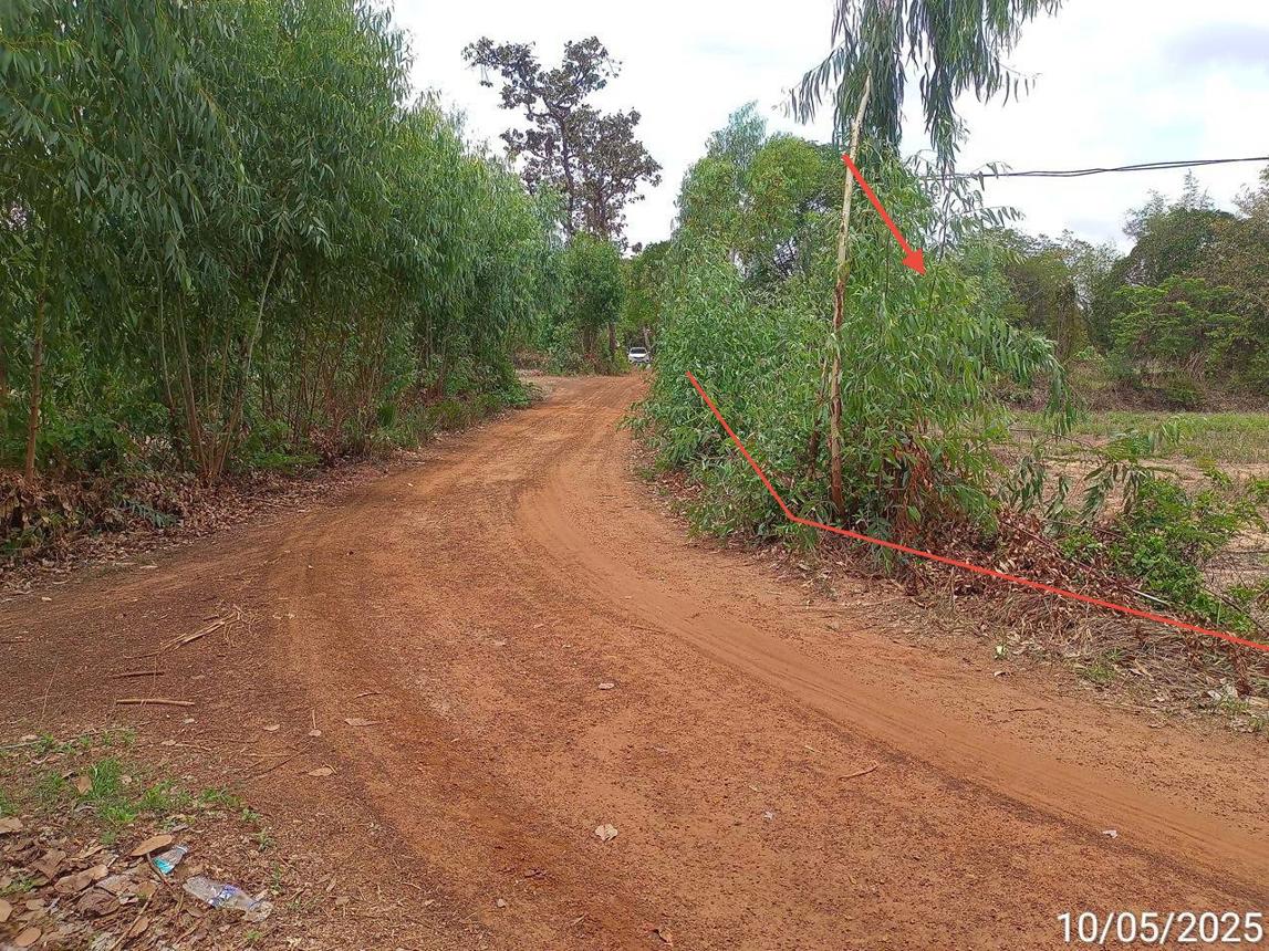 picture LAND for sale  Nong Muang Muang Samsip Ubon Ratchathani - 16/24