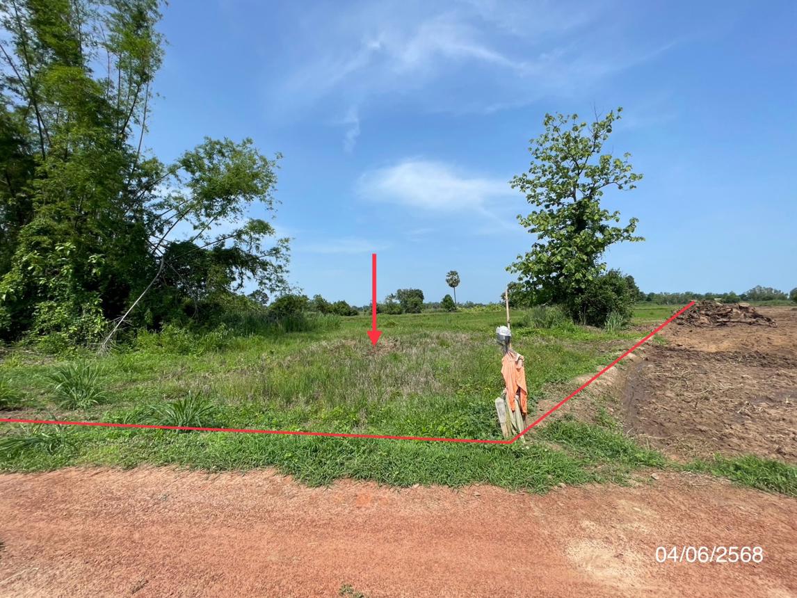 picture LAND for sale  Noen Kum Bang Krathum Phitsanulok - 11/22