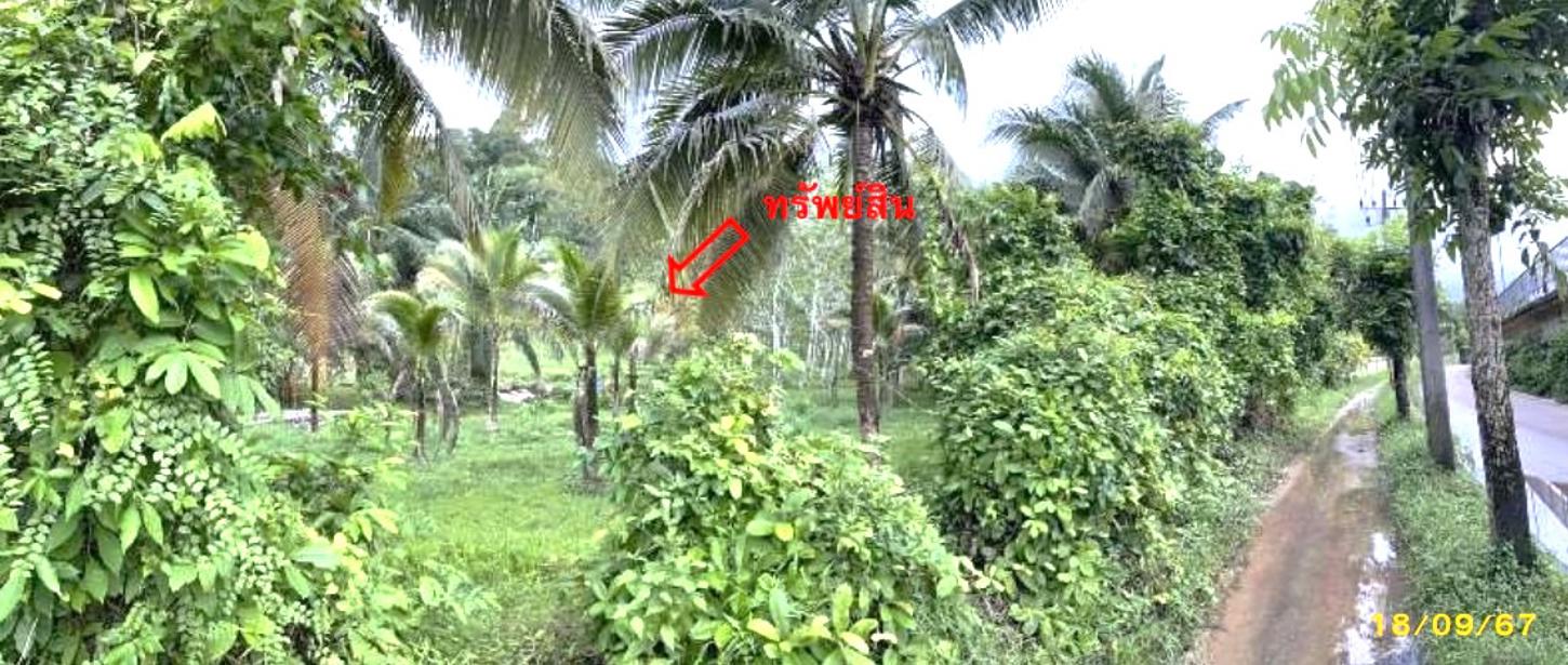 รูป บ้านเดี่ยว สำหรับขาย - บางเป้า กันตัง ตรัง - รูปที่ 18/24