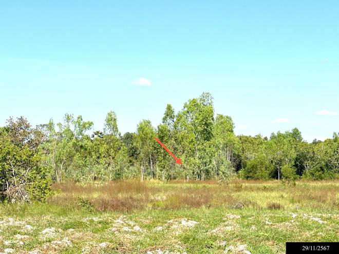 picture LAND for sale  Dong Khan Yai Kham Khuan Kaeo Yasothon - 6/24