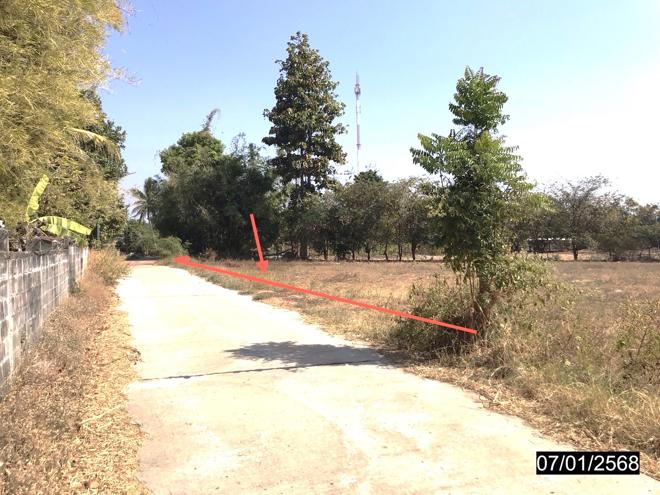 รูป ที่ดินว่างเปล่า สำหรับขาย - ไผ่ เมืองกาฬสินธุ์ กาฬสินธุ์ - รูปที่ 4/22