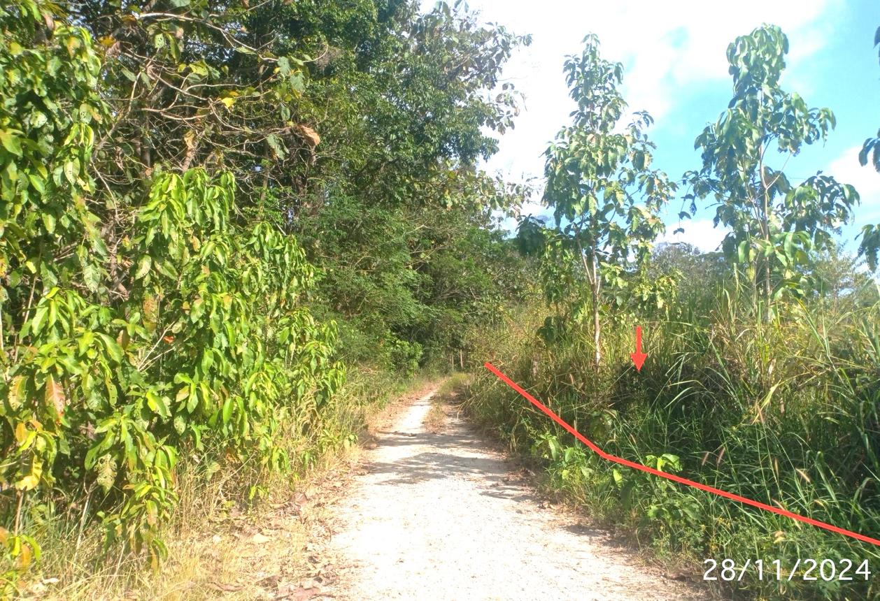 รูป ที่ดินว่างเปล่า สำหรับขาย - เตาปูน สอง แพร่ - รูปที่ 13/20