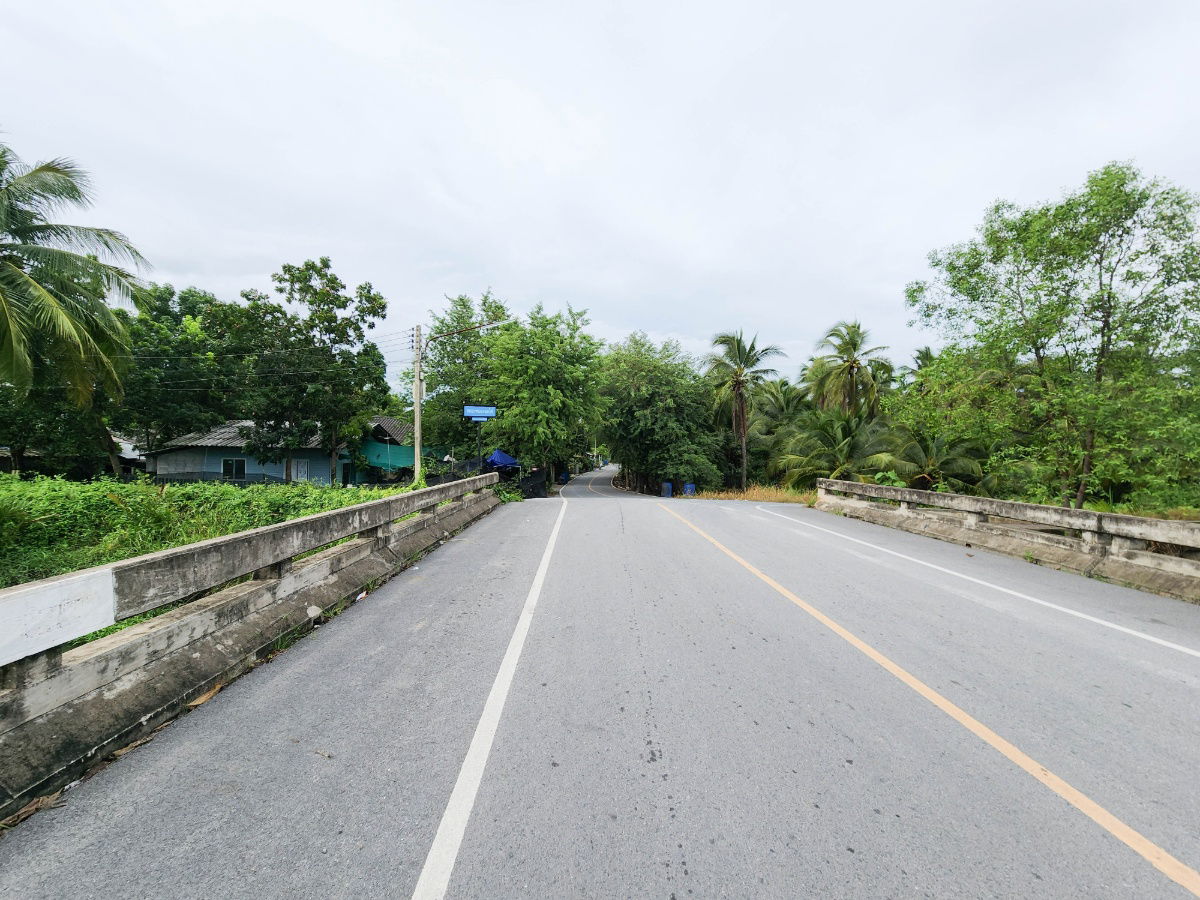 รูป ขายด่วน! ที่ดินพร้อมสวนมะพร้าวบ้านแพ้วกว่า 8 ไร่! ราคาดี ในหนองนกไข่ กระทุ่มแบน สมุทรสาคร ผังเมืองเขียวลาย หน้ากว้าง 80 เมตร ลึก 160 เมตร  - รูปที่ 14/17