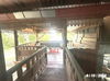 listing thumbnail image 38