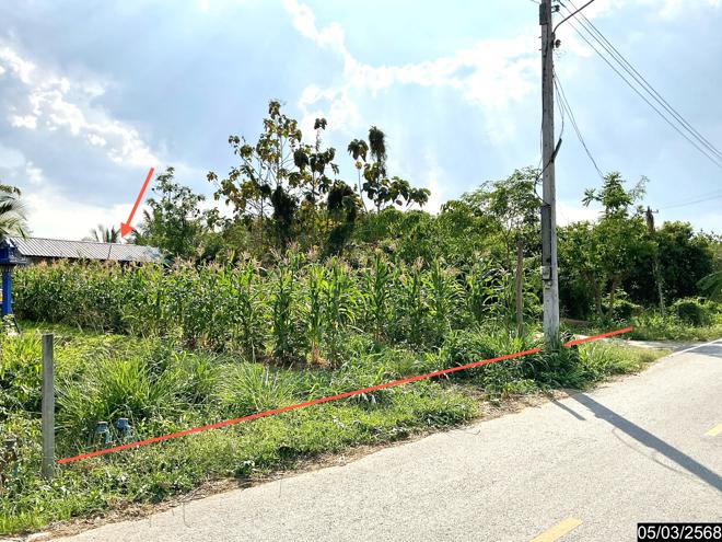 picture HOME for sale  Takhop Pak Thong Chai Nakhon Ratchasima - 6/16