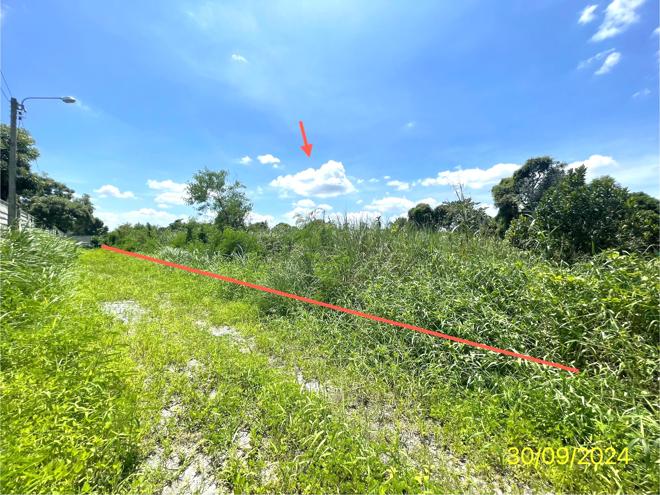picture LAND for sale  Sai Ma Muang Nonthaburi Nonthaburi - 1/14