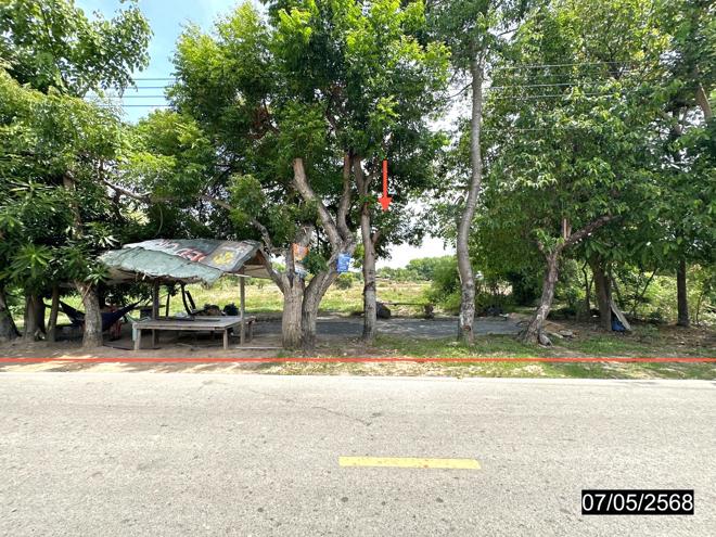 picture LAND for sale  Rop Muang Muang Roi Et Roi Et - 1/20