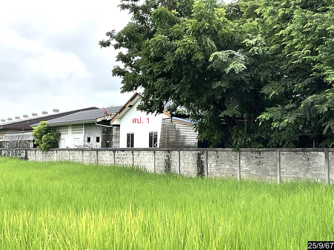 รูป บ้านเดี่ยว สำหรับขาย - บ้านเป็ด เมืองขอนแก่น ขอนแก่น - รูปที่ 11/24