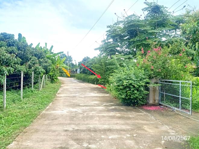picture HOME for sale  San Sai Phrao Chiang Mai - 7/18