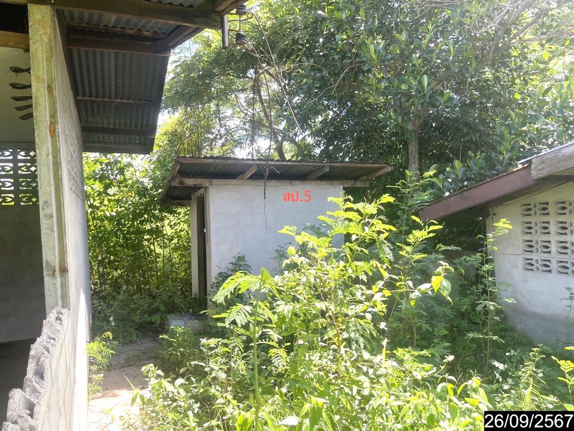 picture HOME for sale  Nong Phai Chum Phae Khon Kaen - 30/36