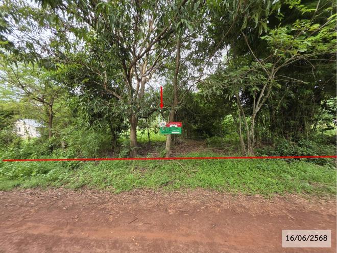 รูป ที่ดินว่างเปล่า สำหรับขาย - ปลาโหล วาริชภูมิ สกลนคร - รูปที่ 3/24