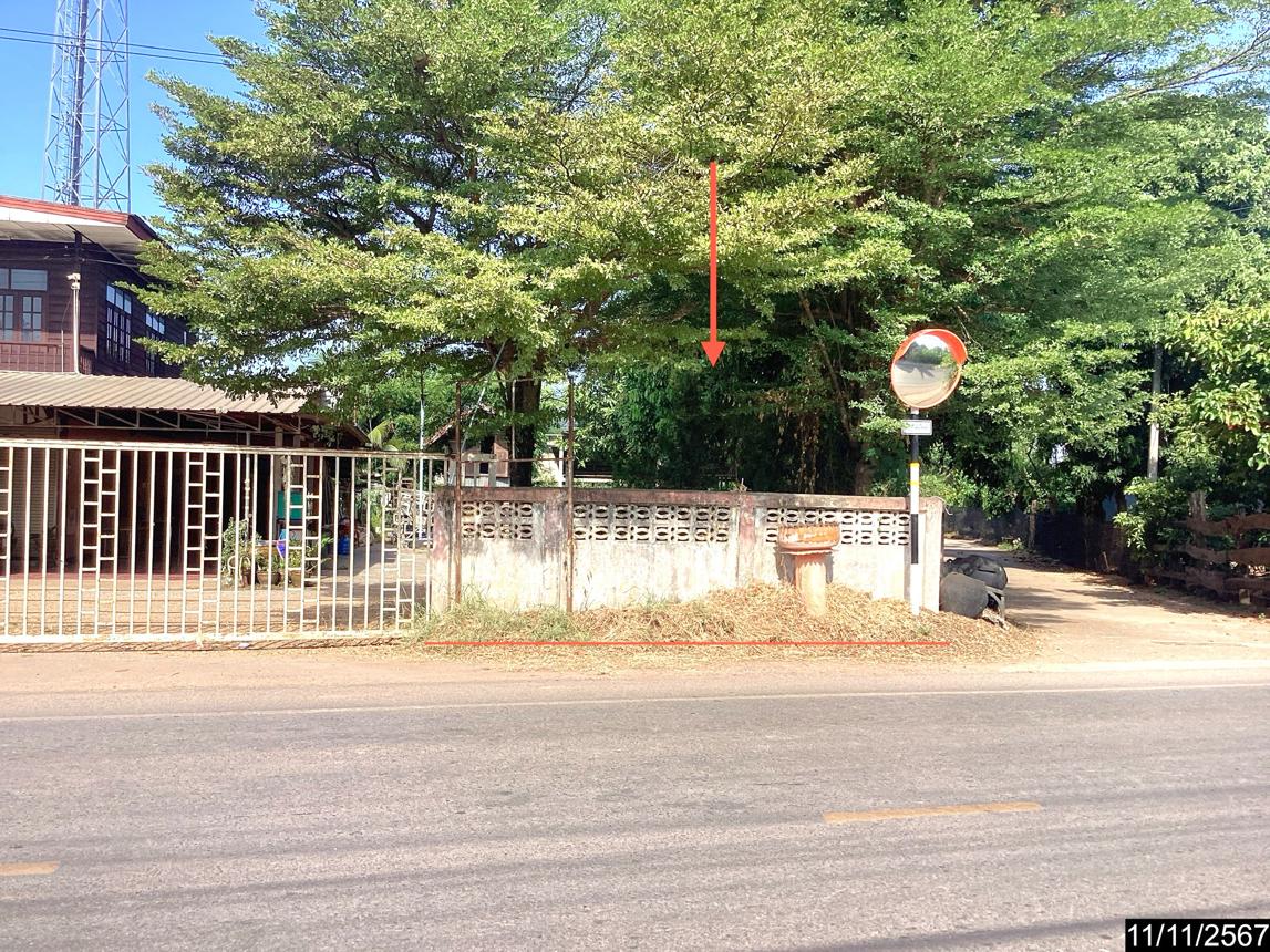 picture LAND for sale  Muang Mi Muang Nong Khai Nongkai - 6/14