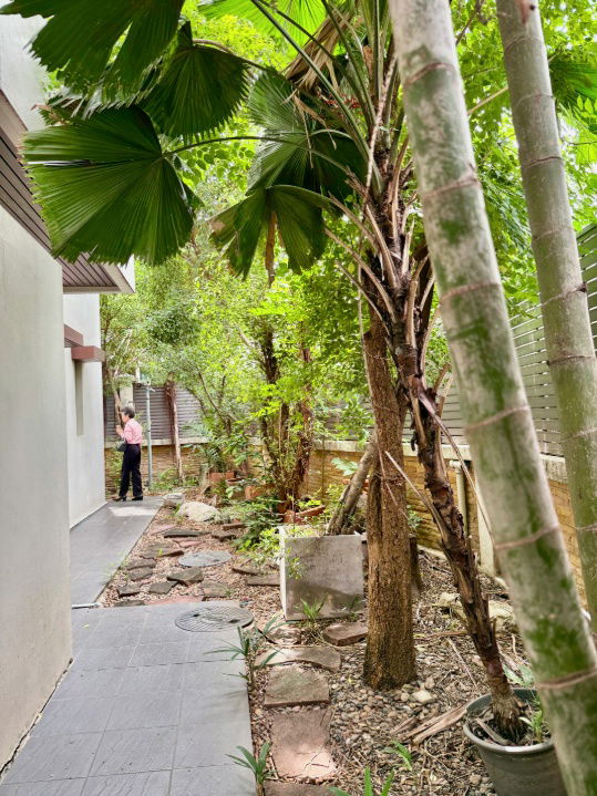 picture Apartment for Sale "Baan Sasida" 4 Buildings Sukhumvit 24 - 15/41