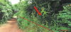 listing thumbnail image 35