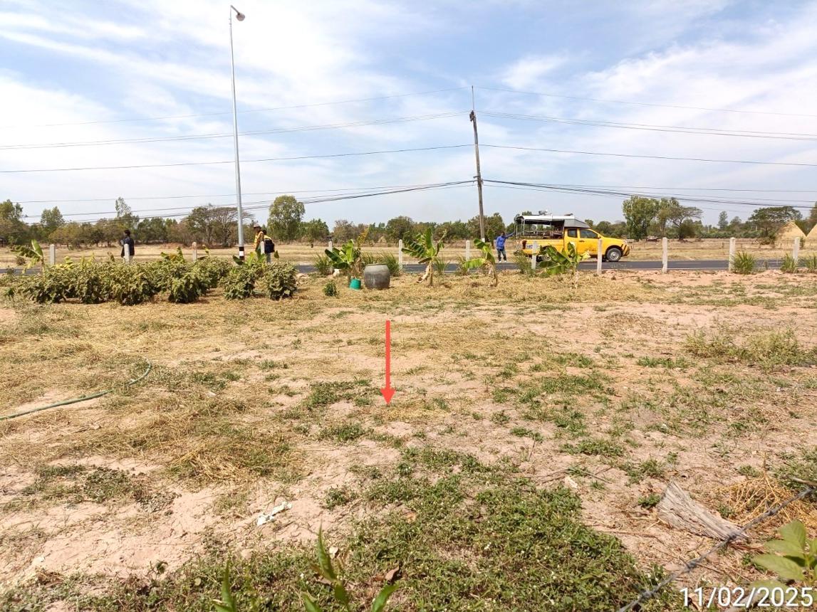 picture LAND for sale  Khok Sawang Phanom Phrai Roi Et - 10/20