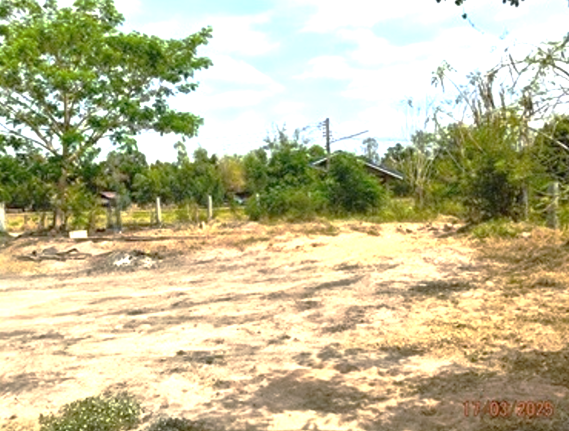 picture LAND for sale  Muang Samsip Muang Samsip Ubon Ratchathani - 11/20