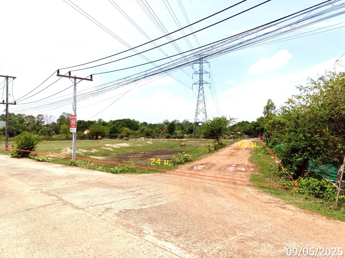 picture LAND for sale  Nua Muang Muang Roi Et Roi Et - 12/20