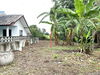 listing thumbnail image 36