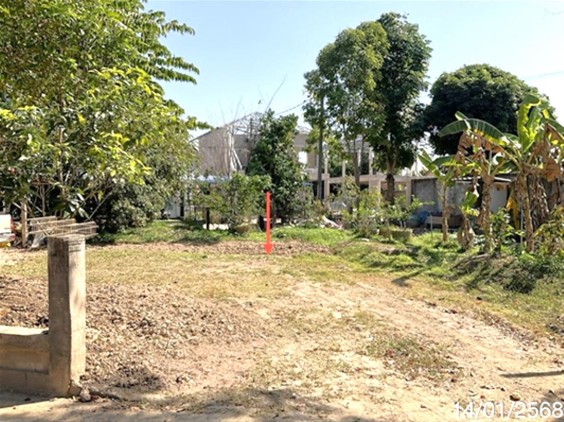 รูป ที่ดินว่างเปล่า สำหรับขาย แควหวาย วิลเลจ รอบเวียง เมืองเชียงราย เชียงราย - รูปที่ 11/16
