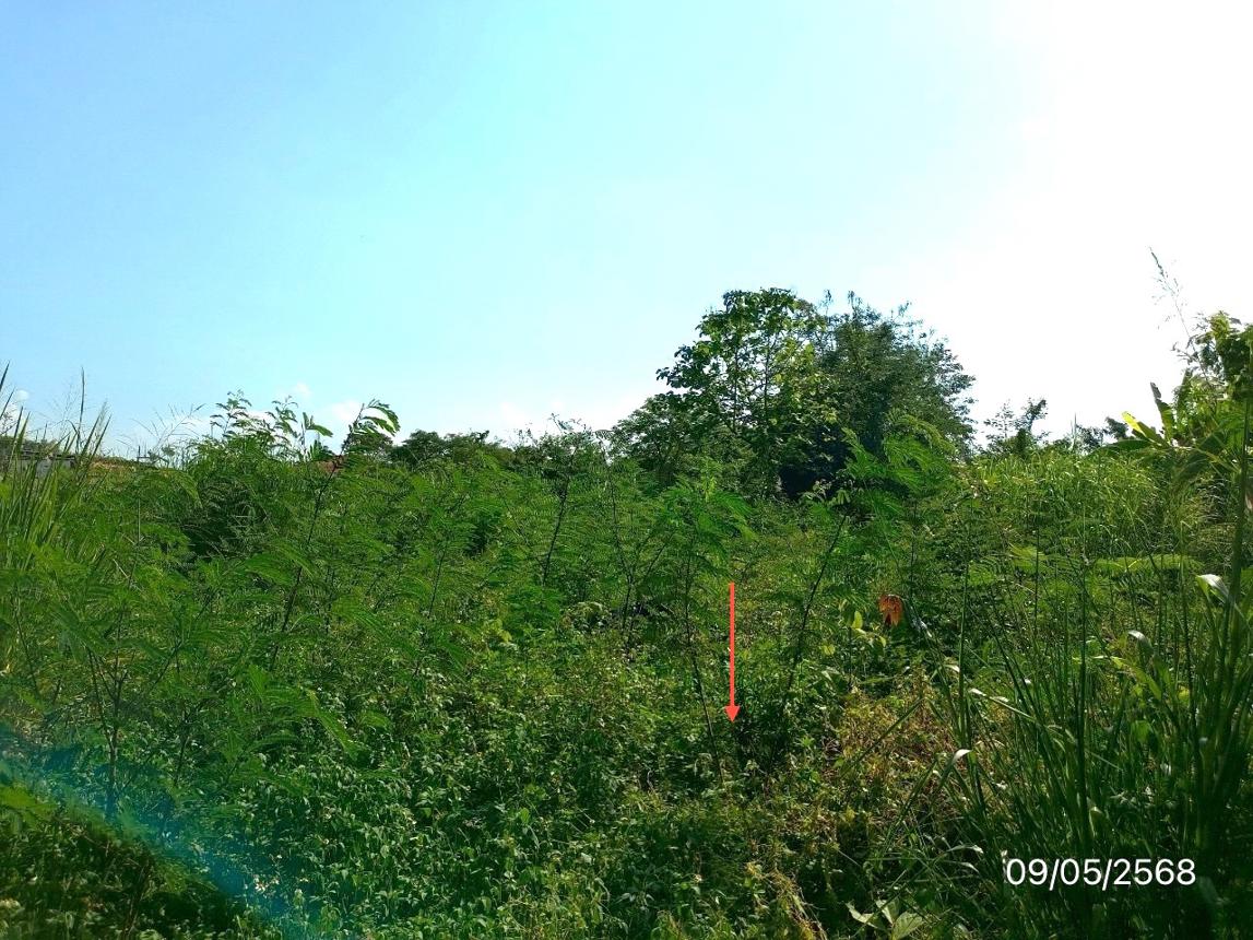 รูป ที่ดินว่างเปล่า สำหรับขาย - รอบเวียง เมืองเชียงราย เชียงราย - รูปที่ 17/22