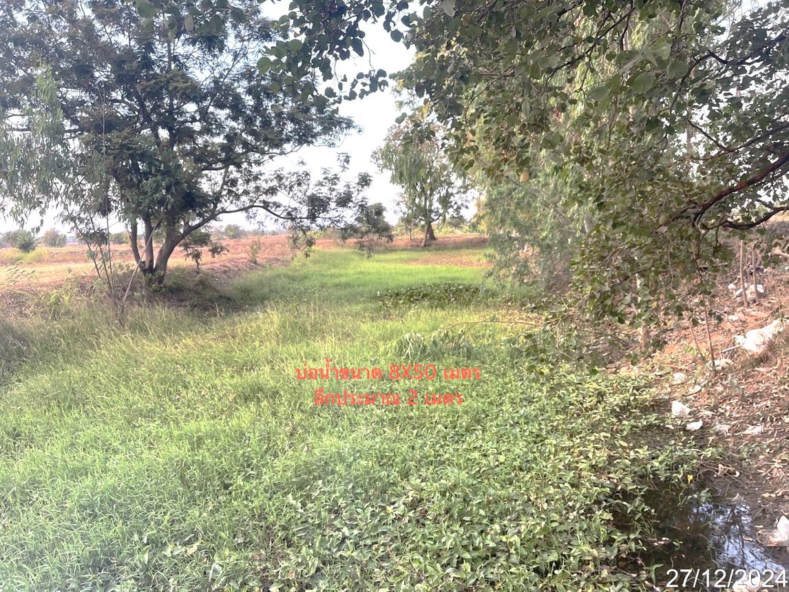 picture LAND for sale  Muang Hong Chaturaphak Phiman Roi Et - 14/18