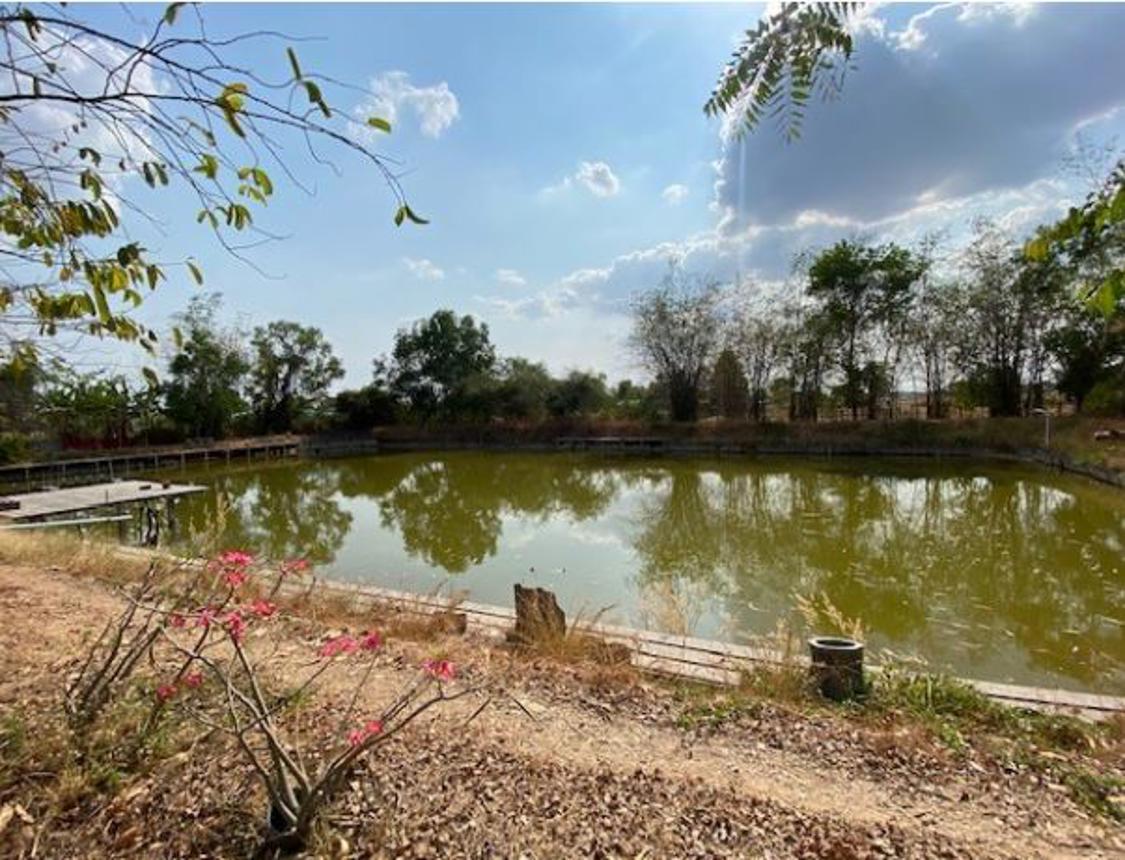 picture HOME for sale  Muang Kae Satuk Buri Ram - 14/18