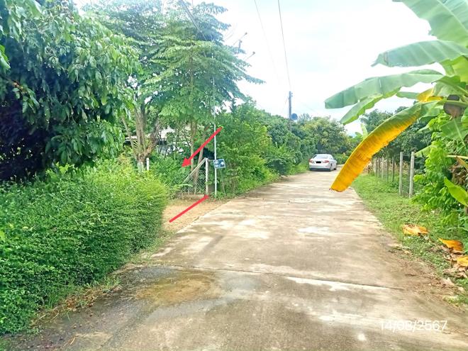 picture HOME for sale  San Sai Phrao Chiang Mai - 6/18