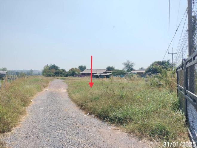 รูป ที่ดินว่างเปล่า สำหรับขาย - หนองยาว เมืองสระบุรี สระบุรี - รูปที่ 4/14
