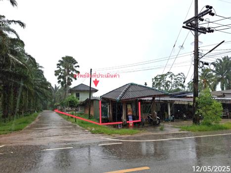 รูป บ้านเดี่ยว สำหรับขาย - เขาวิเศษ วังวิเศษ ตรัง - รูปที่ 31/34