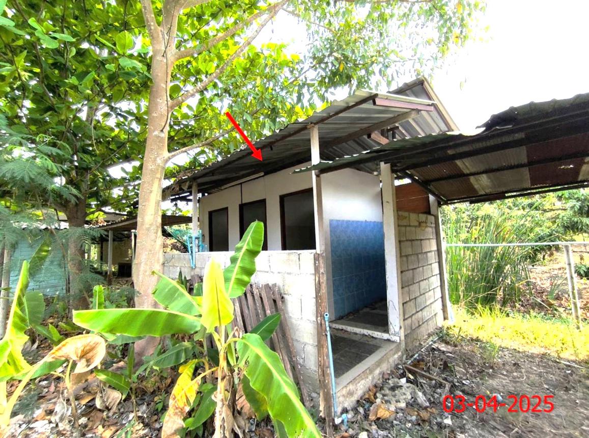 รูป บ้านเดี่ยว สำหรับขาย - อุโมงค์ เมืองลำพูน ลำพูน - รูปที่ 37/48