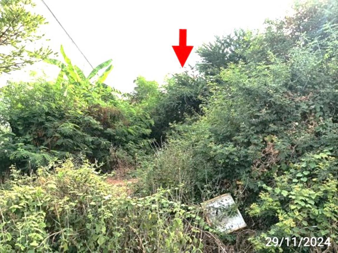 รูป ที่ดินว่างเปล่า สำหรับขาย - หมูม่น เมืองอุดรธานี อุดรธานี - รูปที่ 9/14